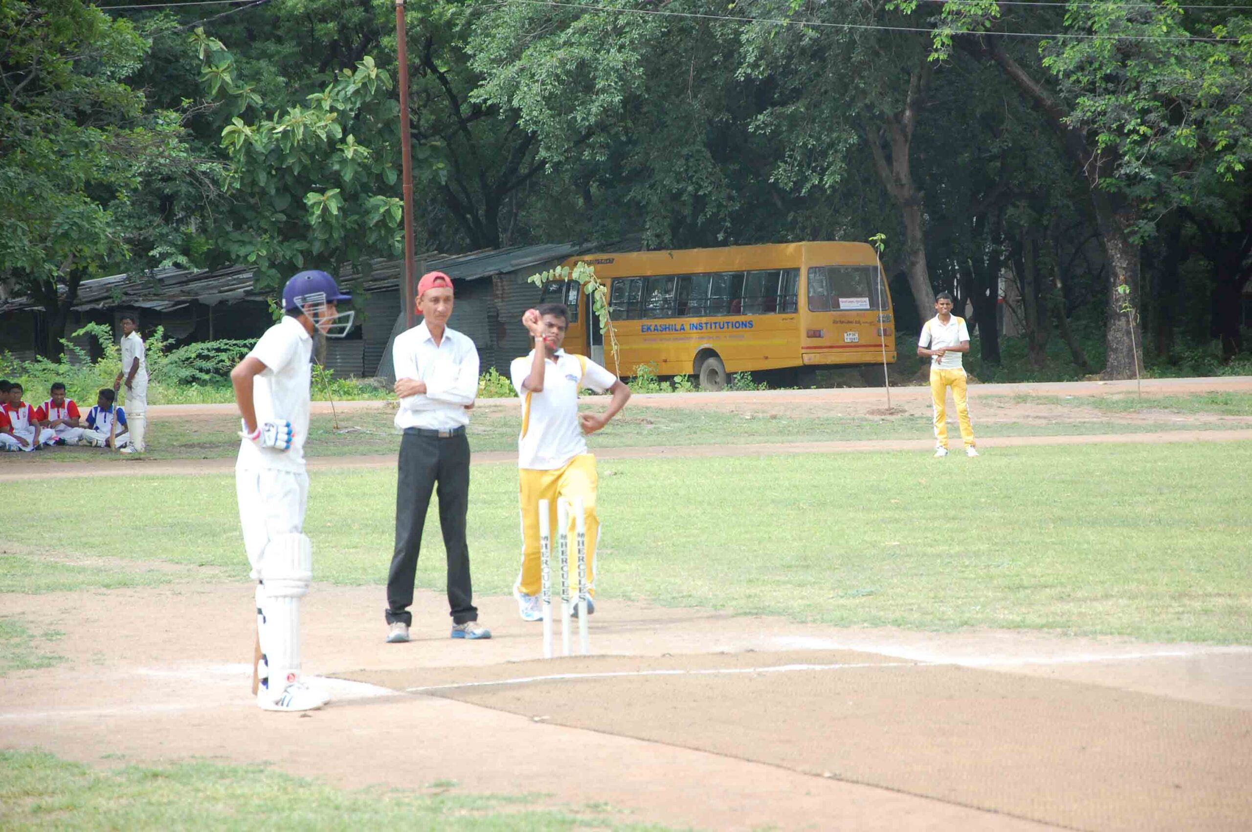 cricket 6