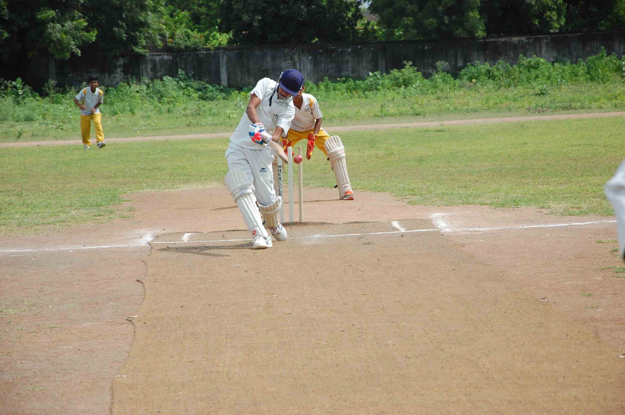 cricket 7